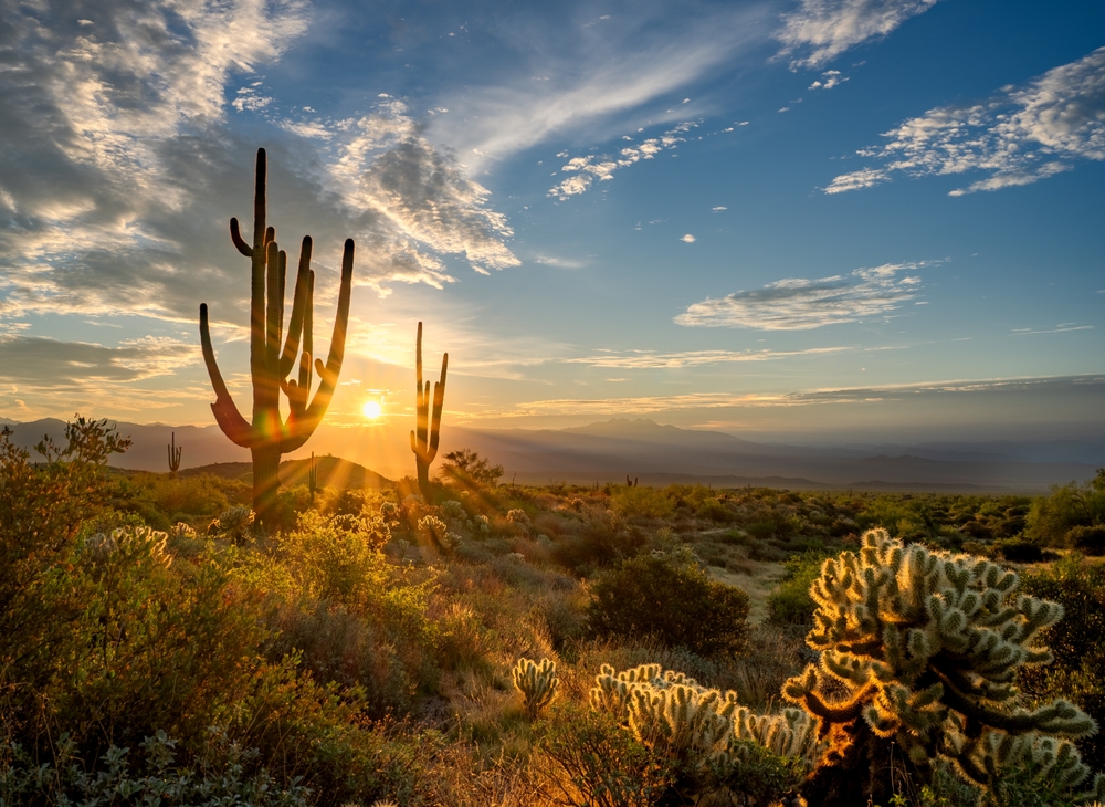 Sunrise,In,The,Majestic,Mcdowell,Mountains,In,Scottsdale,,Az Arizona Desert